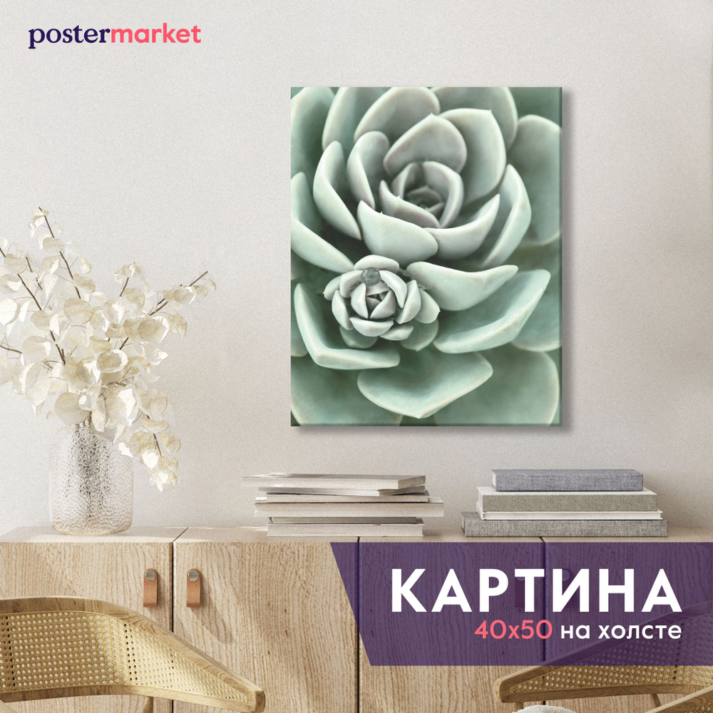 Картина на холсте Postermarket "Суккулент", 40х50 см #1