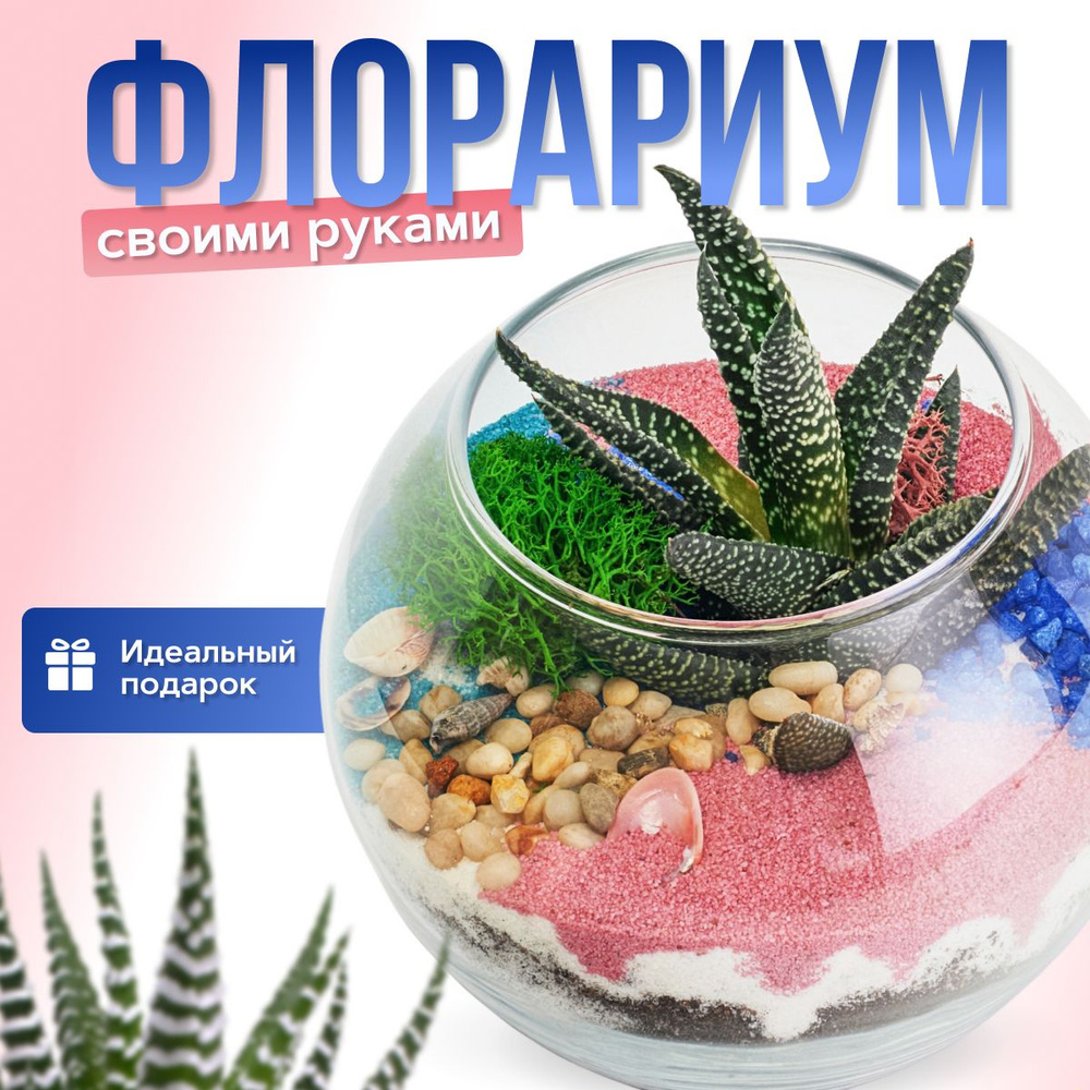 Флорариум своими руками (Шар 0,8л) #1