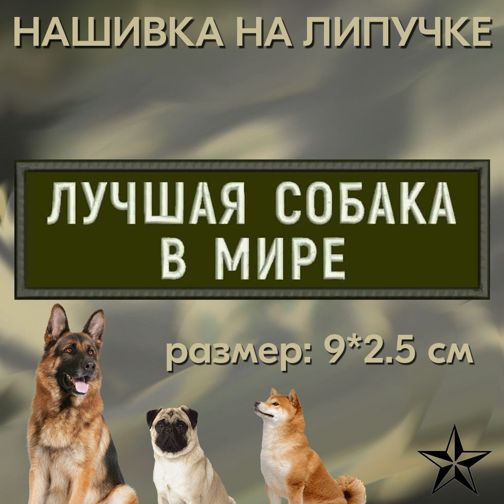 Шеврон ЛУЧШАЯ СОБАКА на липучке, нашивка тактическая 9*2.5 см на одежду. Патч с вышивкой Shevronpogon, #1