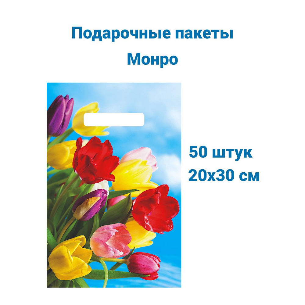 Подарочные пакеты "Монро" 20х30 см 50 штук #1