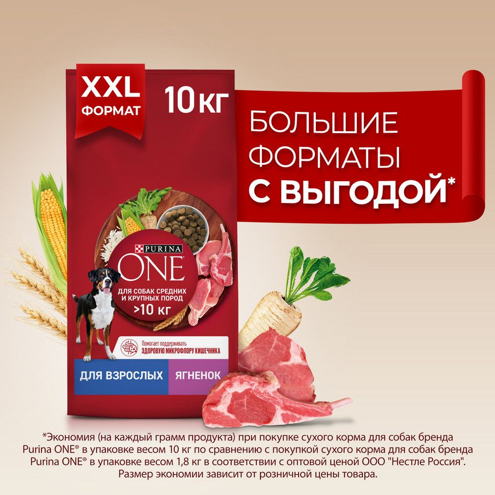 Сухой корм Purina ONE для взрослых собак средних и крупных пород, с высоким содержанием ягненка и рисом,пакет,10 #1