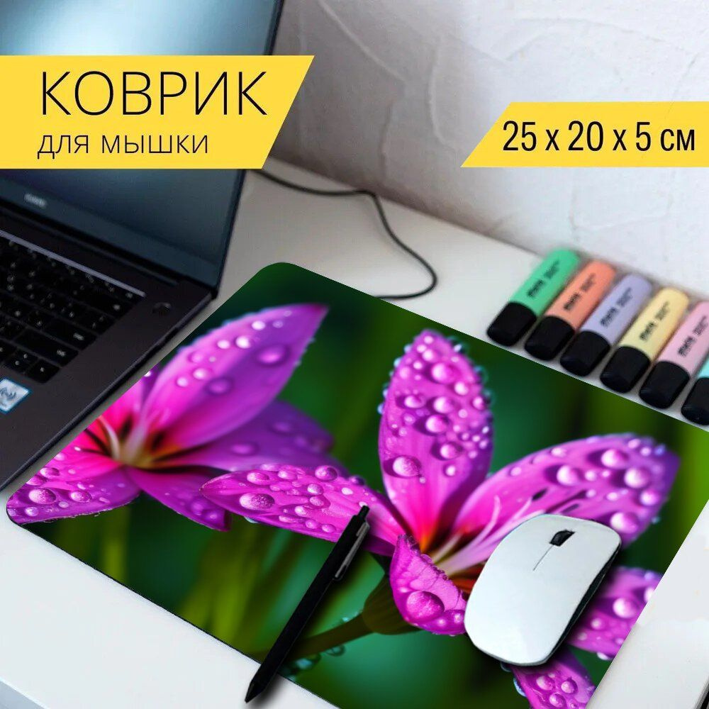 LotsPrints Коврик для мыши poc-PLACES-FLOWER-1835, разноцветный #1