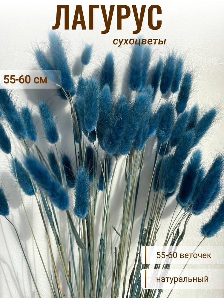 CRISPA FLOWERS Сухоцветы Лагурус, 60 см, 55 шт #1