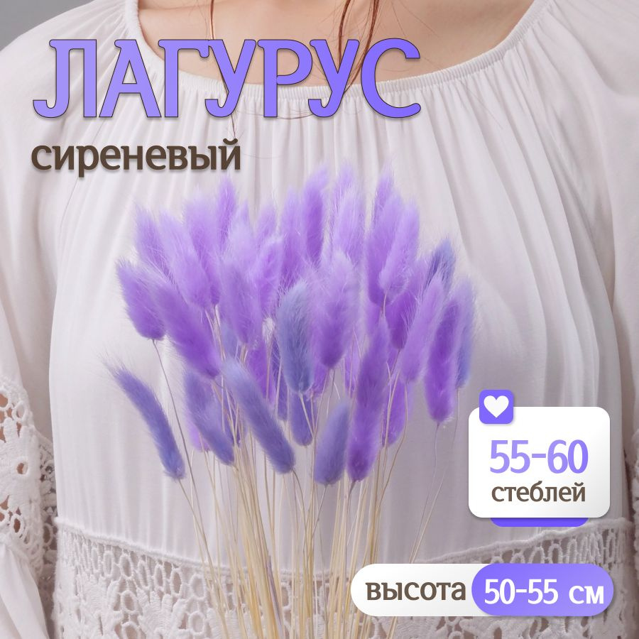 Лагурус сиреневый Сухоцветы от Elka.bio #1