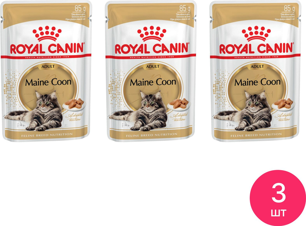 Корм для кошек влажный Royal Canin / Роял Канин Maine Coon Adult для взрослых Мэйн Кунов кусочки в соусе #1