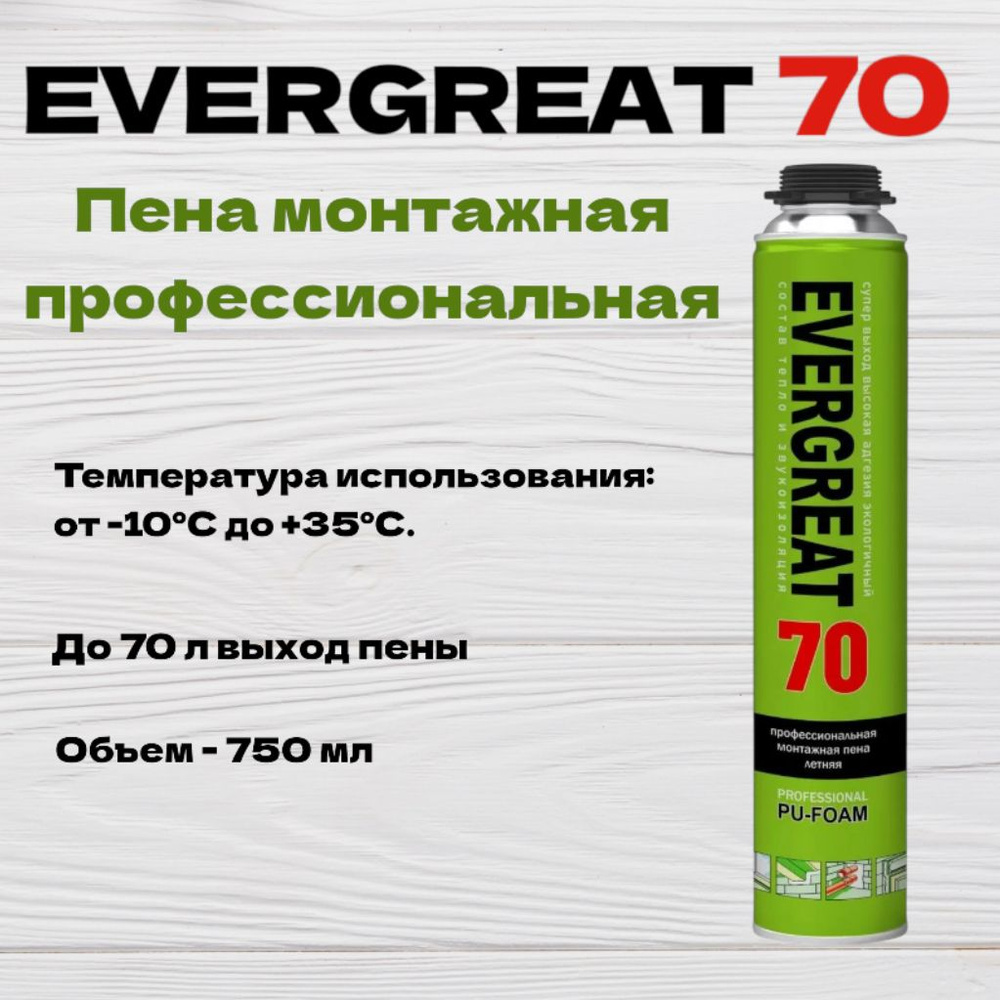 Пена профессиональная монтажная полиуретановая EVERGREAT 70 всесезонная, 750 мл  #1