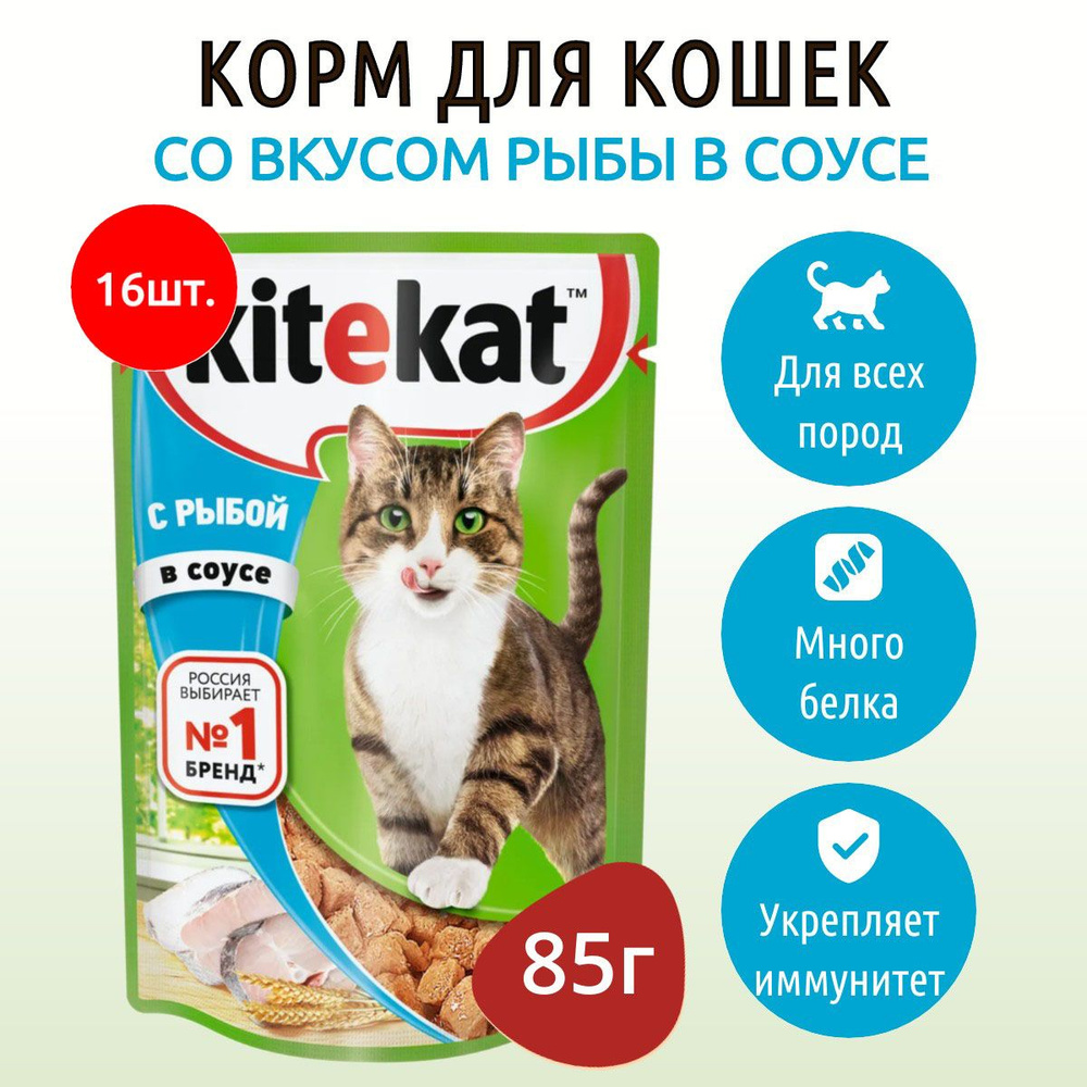 Влажный корм Kitekat 1360 г (16 упаковок по 85 грамм) для кошек Рыба в соусе, в паучах  #1