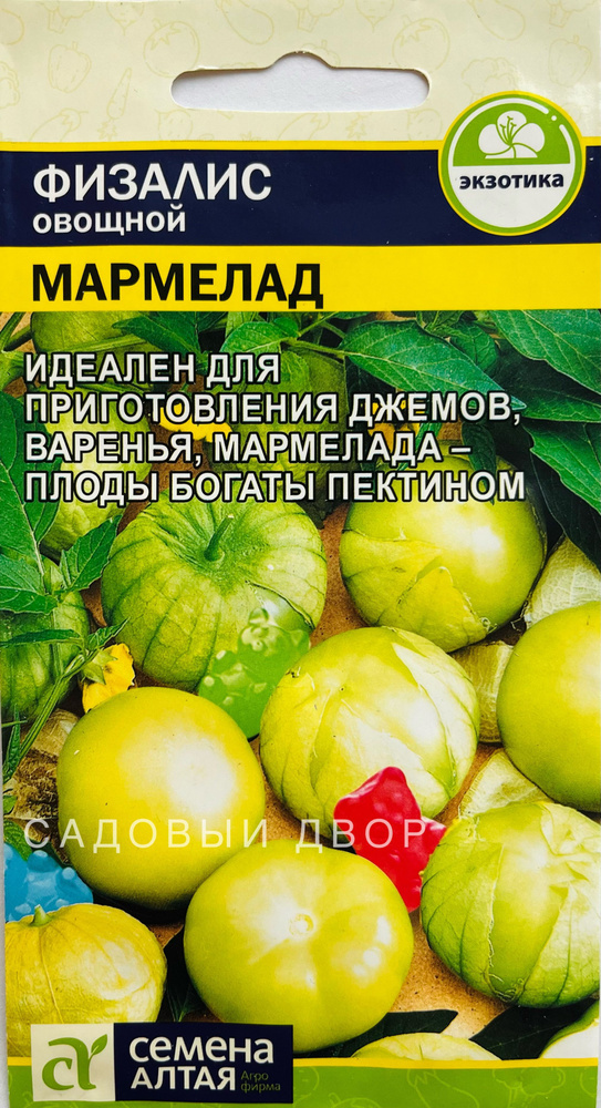 Физалис овощной Мармелад, 1 пакет, семена 0,2 гр, Семена Алтая  #1