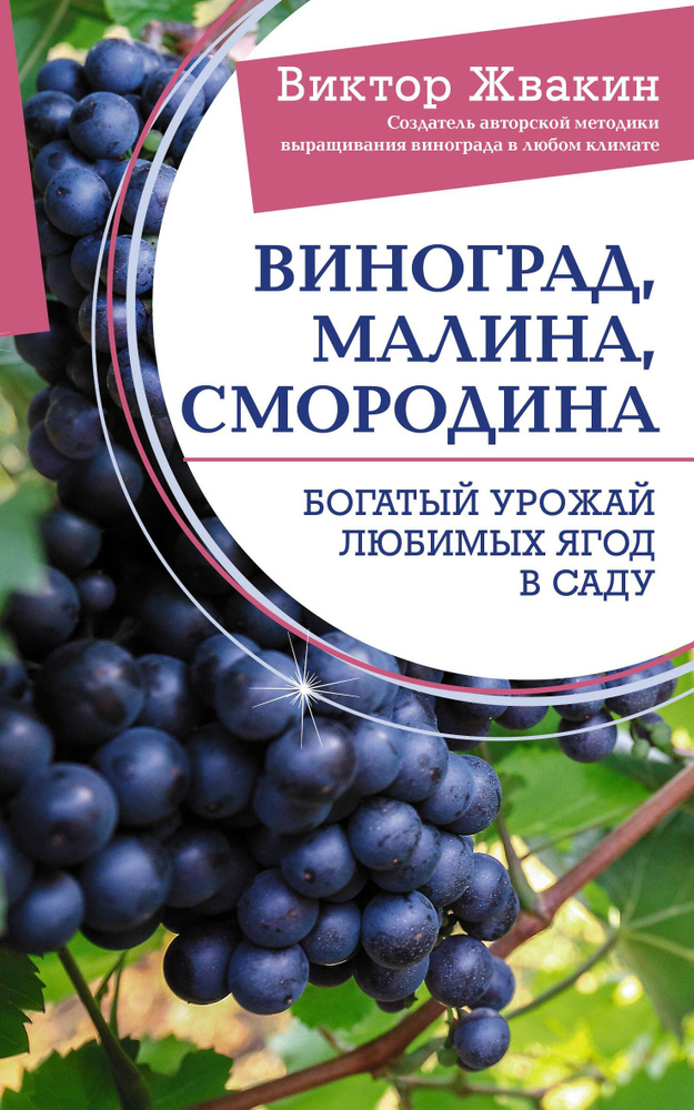 Виноград, малина, смородина. Богатый урожай любимых ягод в саду | Жвакин Виктор Владимирович  #1