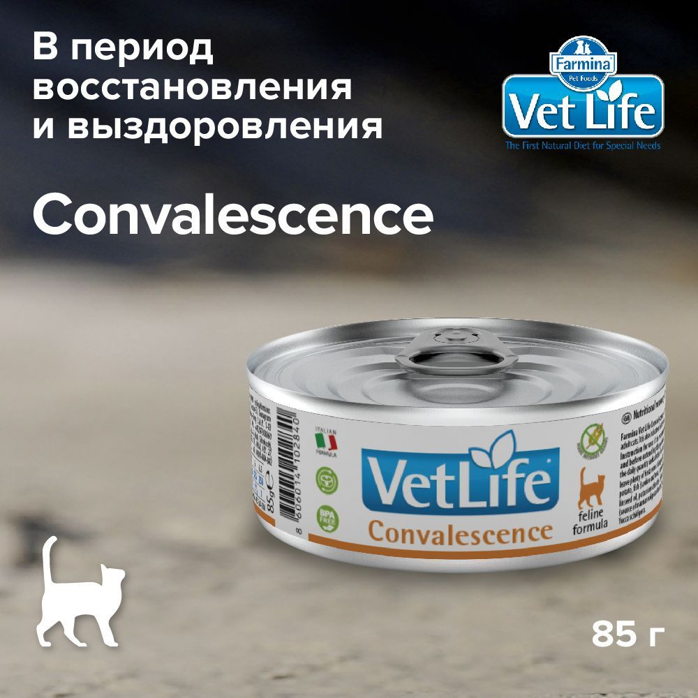 Влажный корм Farmina Vet Life Cat Convalescence с курицей диетический для кошек в восстановительный и #1