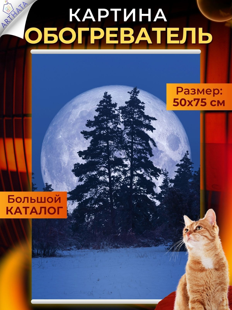 Настенный обогреватель в виде картины Полнолуние 50х75см  #1