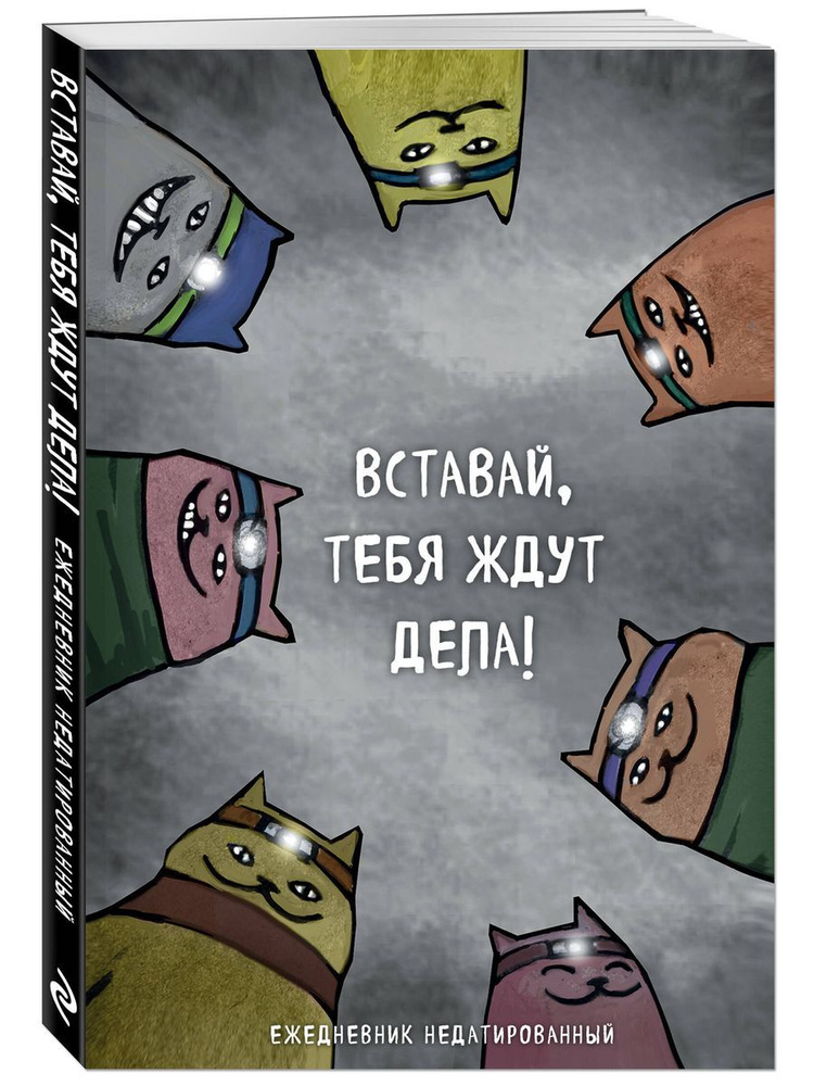 Коты-туристы. Вставай, тебя ждут дела. Ежедневник недатированный (А5, 72 л.)  #1