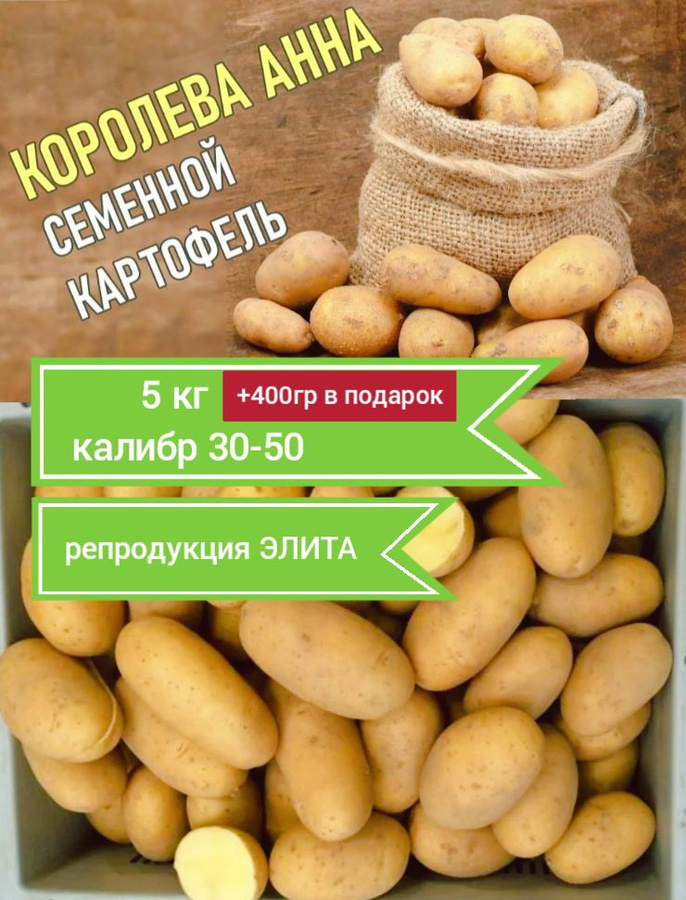 Картошка анна eCookie.ru