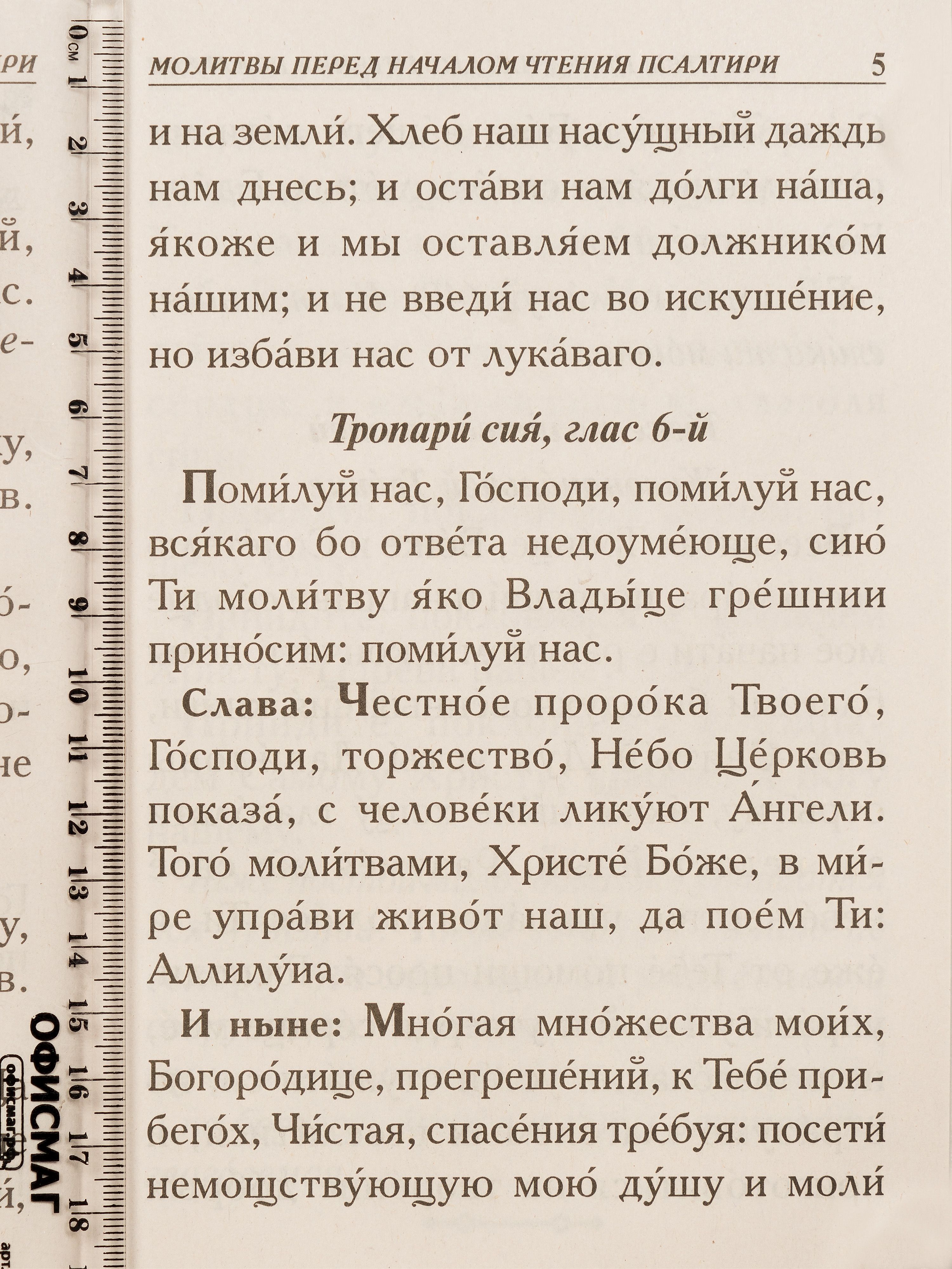 Псалтирь крупным шрифтом | Psalmody in Large Print - Ozon image 4