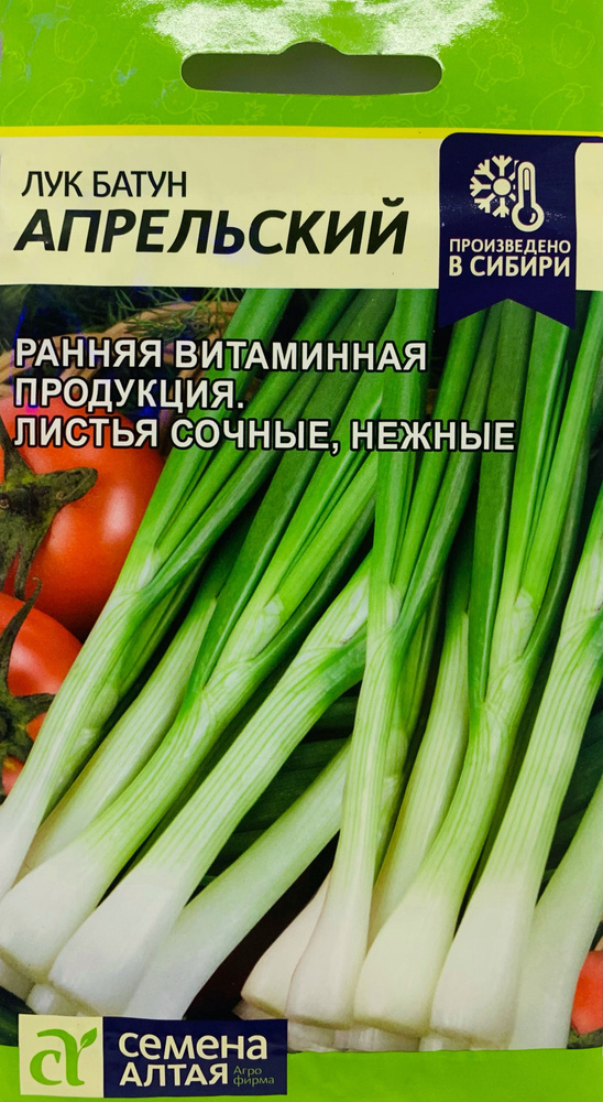 Лук батун АПРЕЛЬСКИЙ, 1 пакет, семена 1 гр, Семена Алтая #1