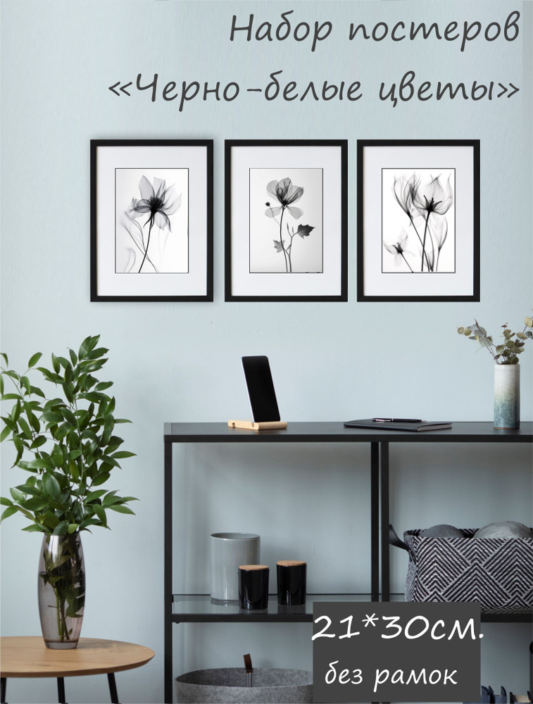 Постеры для интерьера"Черно-белые цветы" 21*30 см, набор из 3 шт.  #1