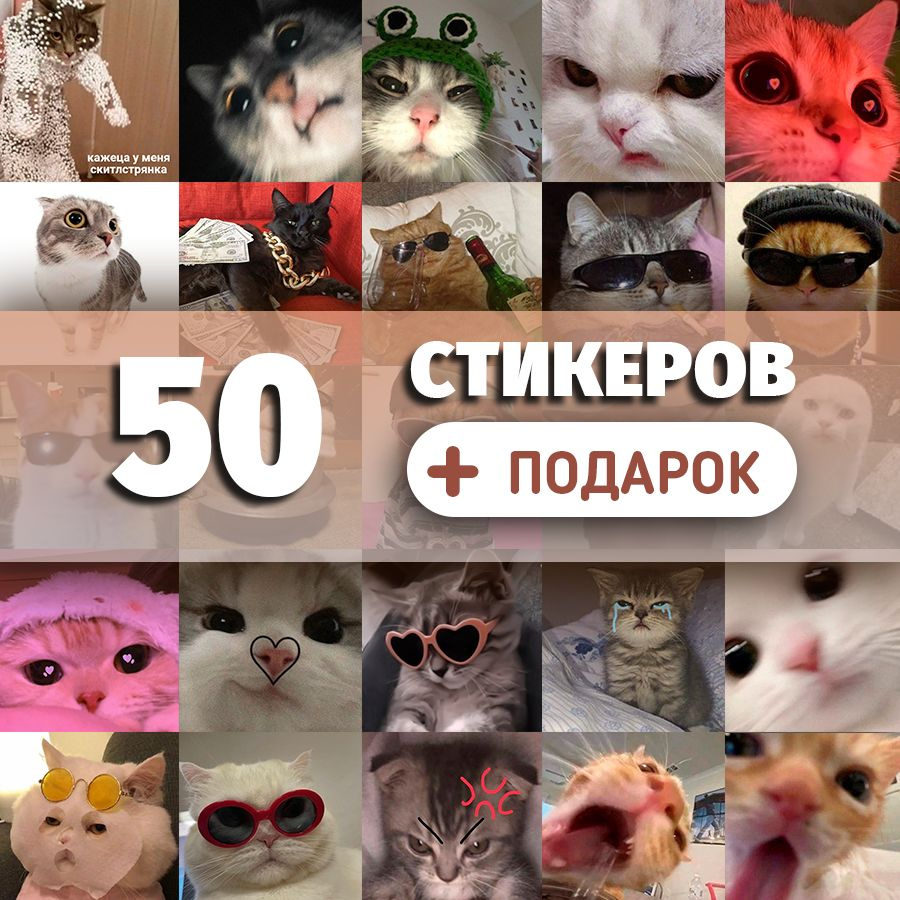 Наклейки на телефон Котики 50 шт стикеры #1