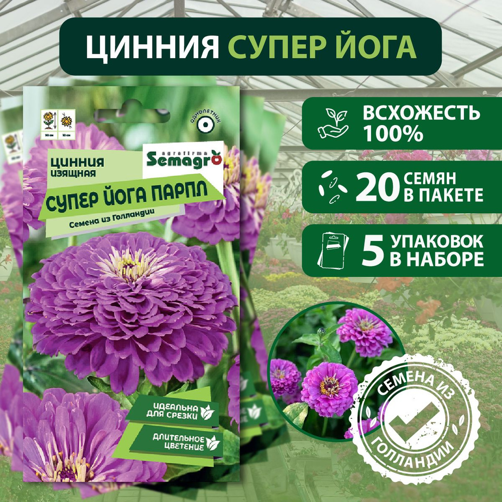 Семена Цинния изящная Супер Йога Парпл SEMINIS, 5 пакета, (20 семян в одном пакете)  #1