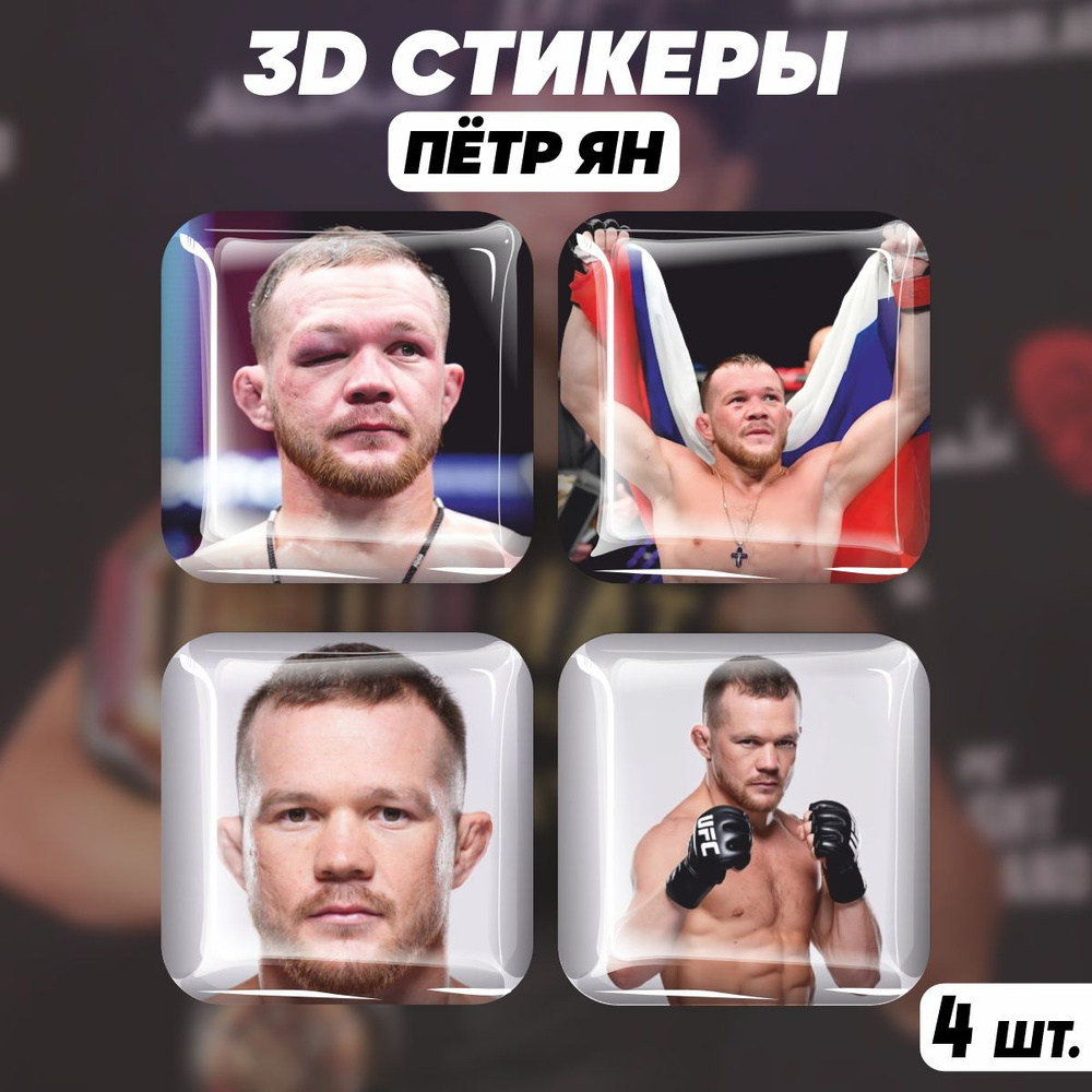 Наклейки на телефон 3D стикеры Петр Ян ufc #1