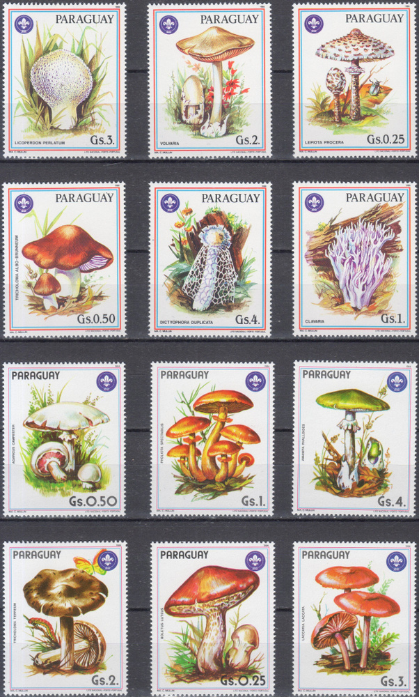 Набор 12 марок Парагвай Грибы #1