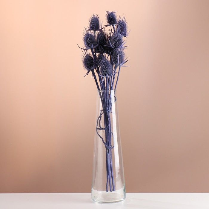 Сухоцветы для декора "Ворсянка" банч 7-8 шт, длина 50 (+/- 6 см) фиолетовый  #1