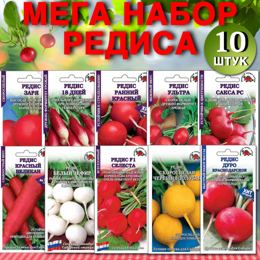 Семена редиса в наборе Селеста и др. сорта 10 шт.(Золотая сотка Алтая)  #1