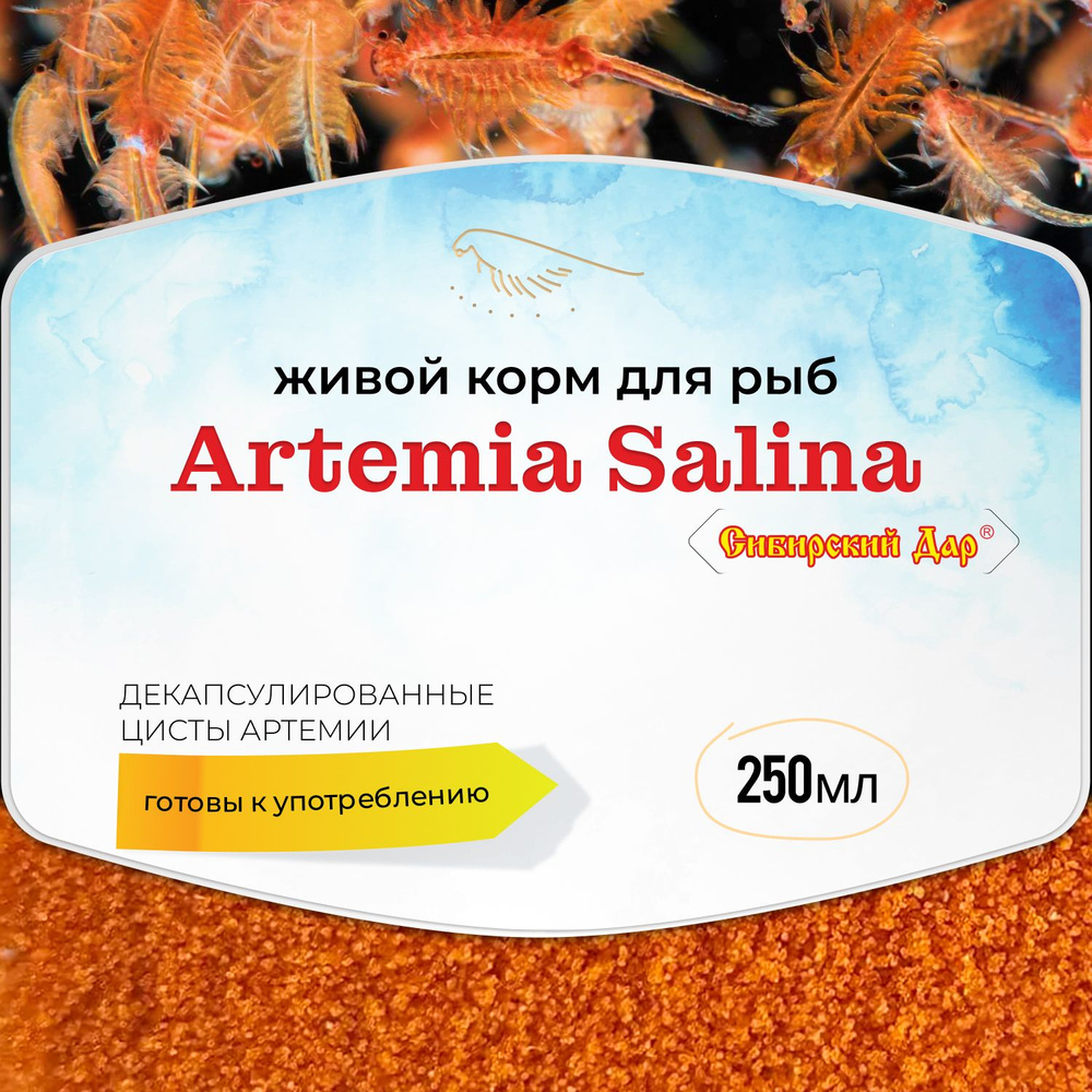 Декапсулированные яйца артемии (цисты) - корм для рыб "Сибирский дар" Artemia Salina, 250 мл - для мальков, #1