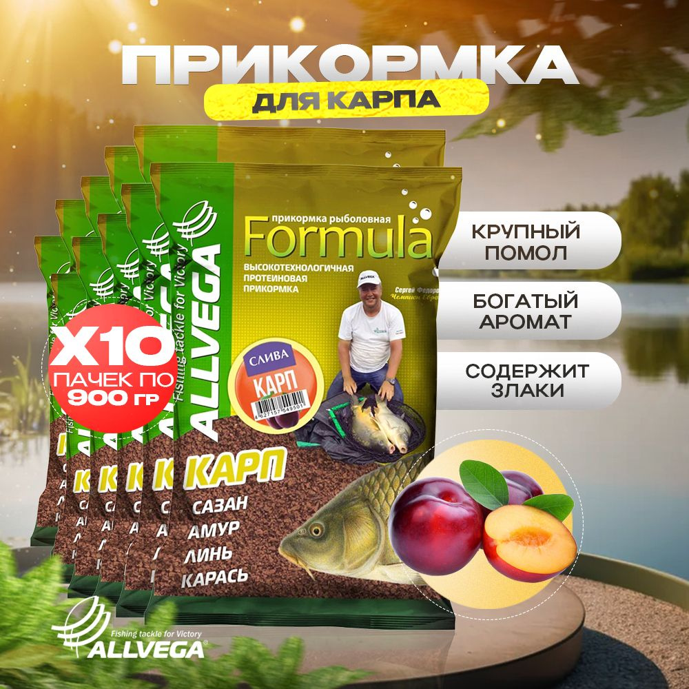 Прикормка для рыбалки на карпа ALLVEGA Formula СЛИВА 10 пачек #1