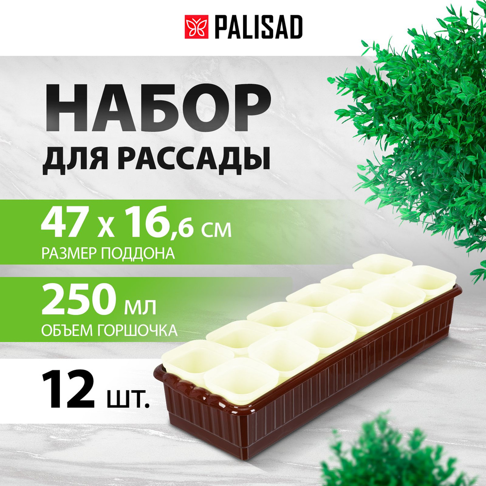 Набор для рассады с поддоном PALISAD, 470 х 166 х 82 мм, горшочки для рассады, 12 штук по 250 мл, с выдвижным #1