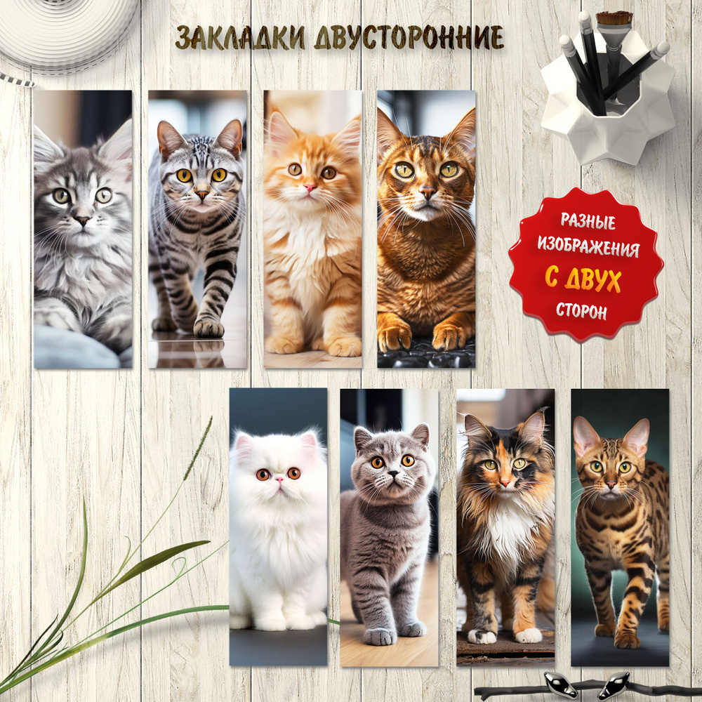 Закладки для книг с кошками. Набор 8 штук #1