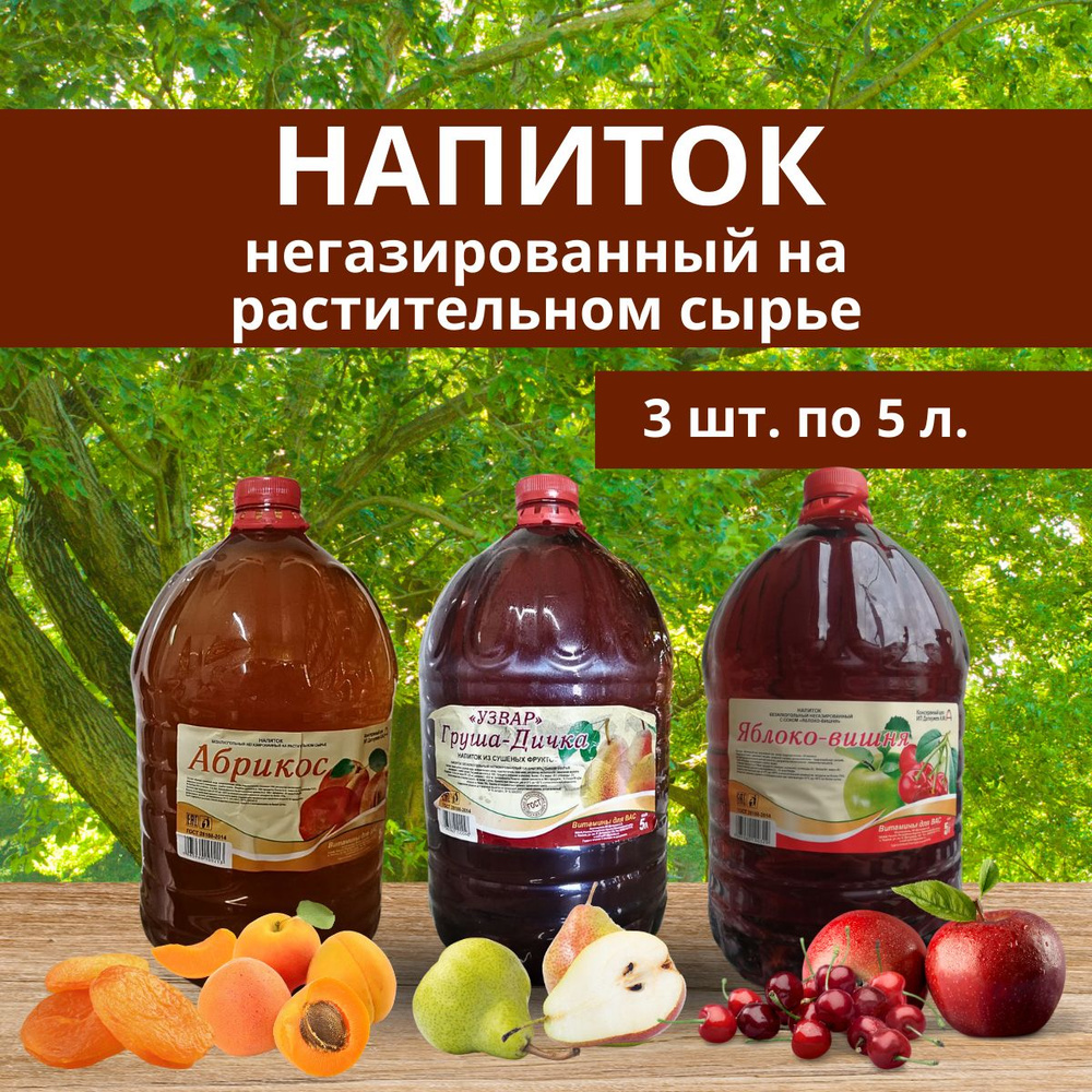 Напиток негазированный из растительного сырья яблоко-вишня, абрикос, груша-дичка, 3 шт. по 5 л.  #1