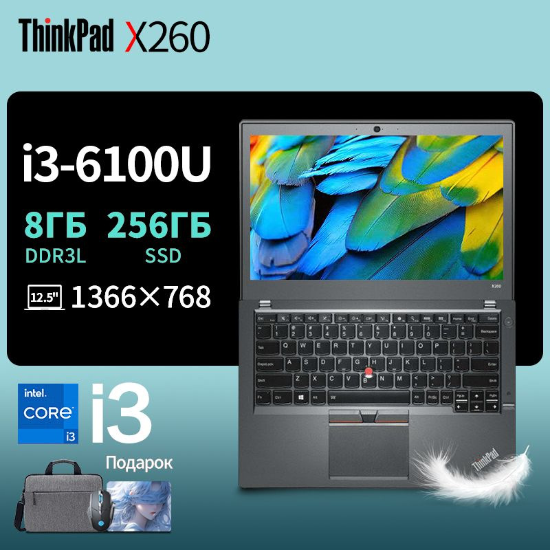 Lenovo Thinkpad X260 Ноутбук 12.5", Intel Core i3-6100U, RAM 8 ГБ, SSD, Intel HD Graphics 520, Windows #1