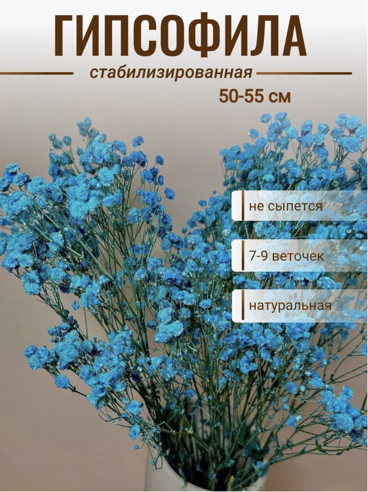 CRISPA FLOWERS Стабилизированные цветы Гипсофила, 50 см, 9 шт #1