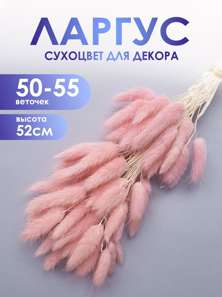 Сухоцветы Лагурус, 55 см, 40 гр, 55 шт #1