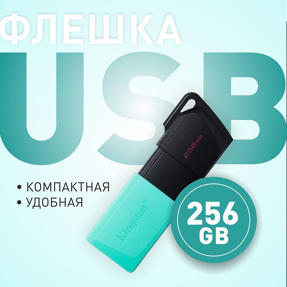 Kingston флеш-накопитель USB 3.2 256GB DataTraveler Exodia M / флешка USB #1