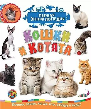 Кошки и котята (Первая энциклопедия) #1