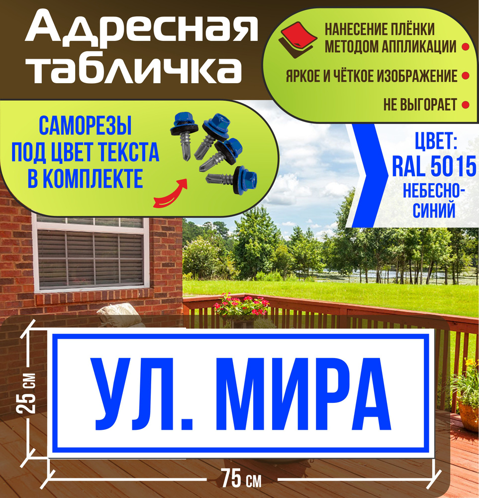 Адресная табличка на дом улица Мира RAL 5015 синяя #1