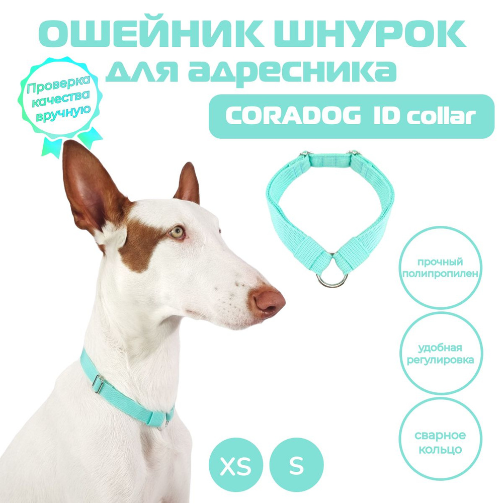 Ошейник шнурок для адресника, CORADOG ID collar, размер S, мятный  #1