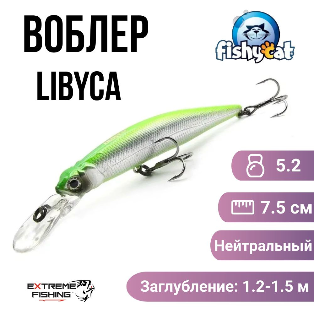 Воблер Fishycat Libyca 75DSP, R12 #1