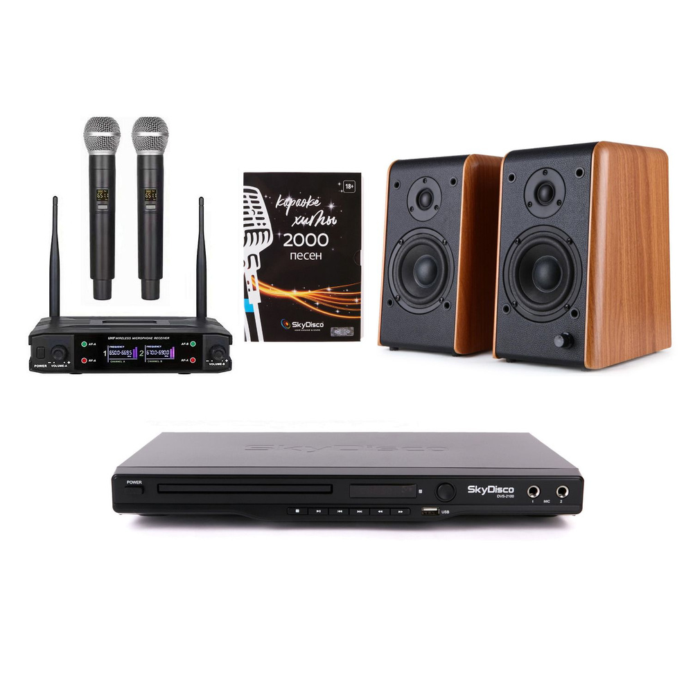 Домашняя караоке система SkyDisco Karaoke Home Set 2+B77BT с микрофонами и акустикой  #1