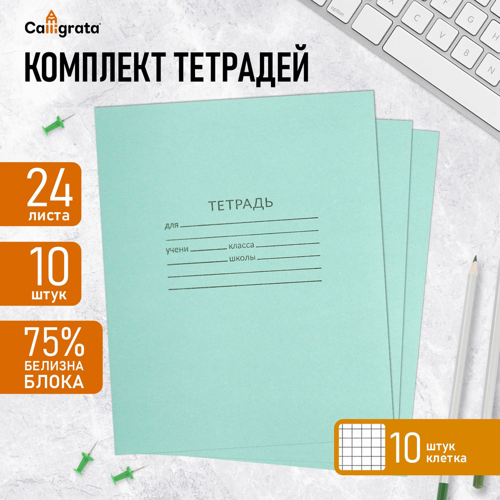 Комплект тетрадей из 10 штук, 24 листа в клетку КПК "Зелёная обложка", блок №2, белизна 75% (серые листы) #1