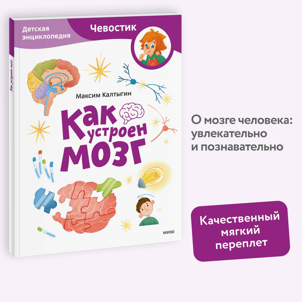 Как устроен мозг. Детская энциклопедия (Чевостик) (Paperback)  #1