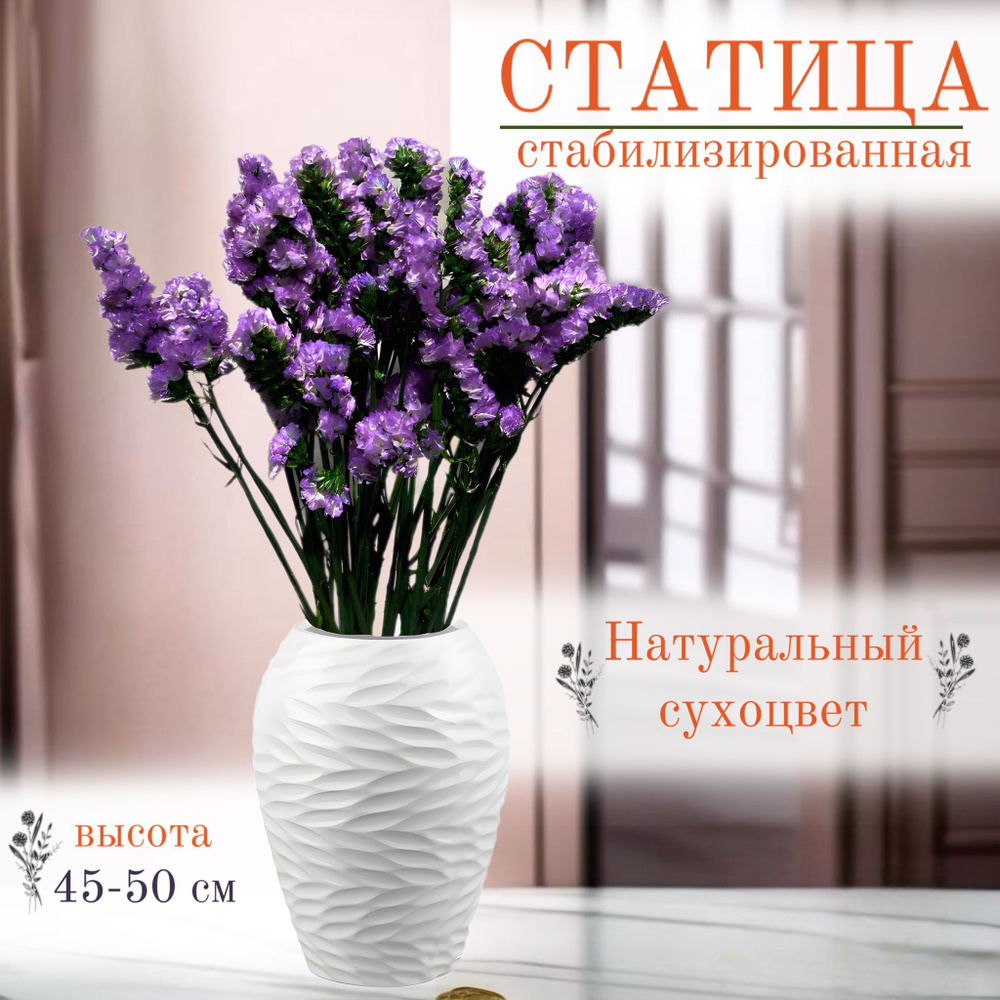 Стабилизированные цветы Статица, Лимониум, 50 см, 50 гр, 1 шт  #1