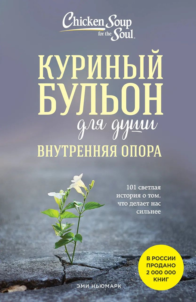 Куриный бульон для души. Внутренняя опора. 101 светлая история о том, что делает нас сильнее  #1