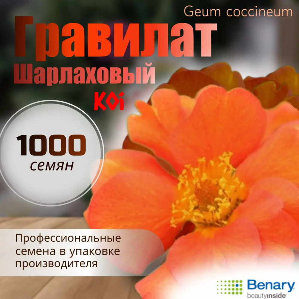 Гравилат шарлаховый (Geum coccineum), сорт Koi, профессиональные семена, 1000 штук.  #1