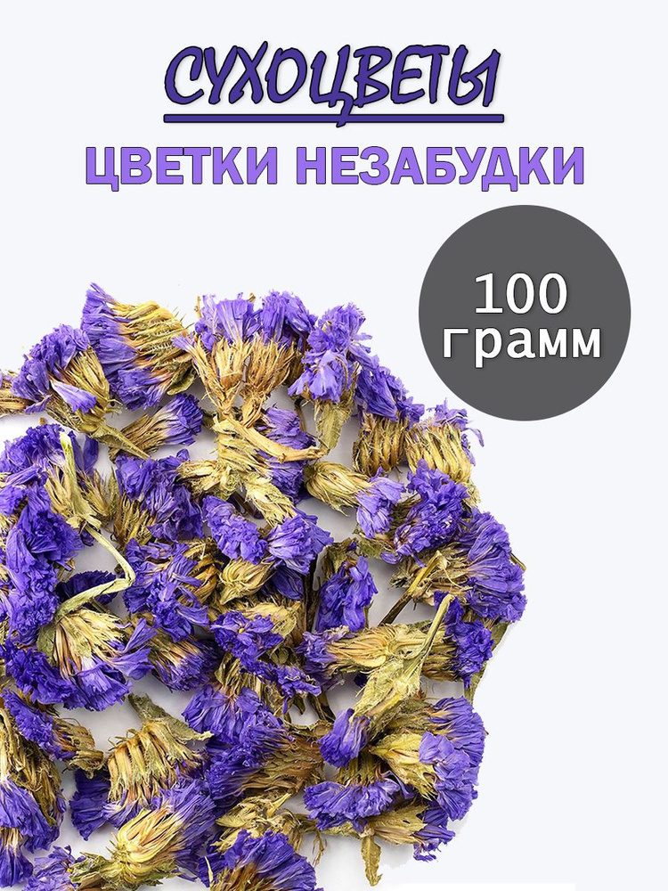 Сухоцветы Незабудка, 100 гр #1