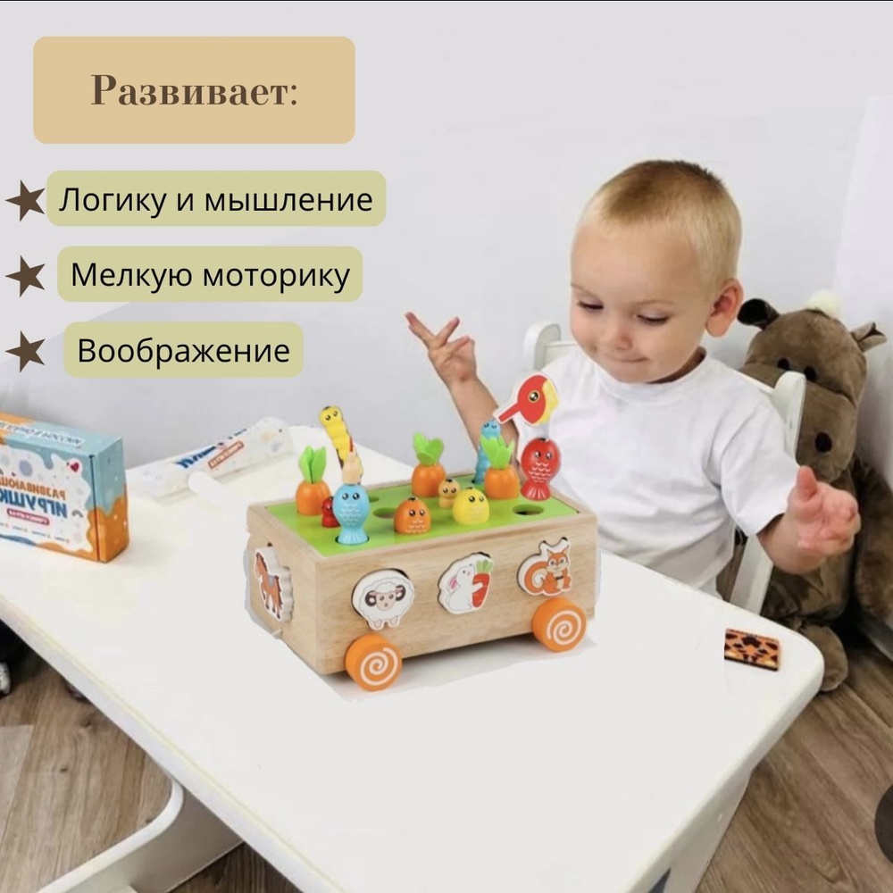 Детская развивающая игрушка-сортер Aiyi Toys Co "Магнитная рыбалка", дерево, разноцветный  #1