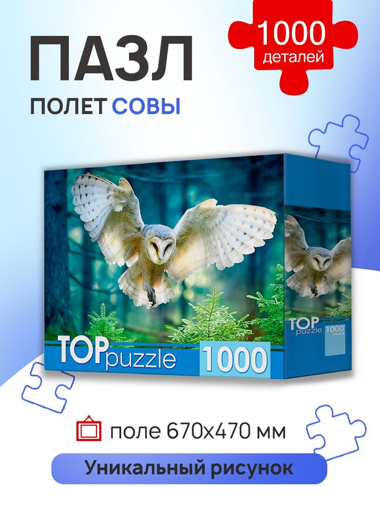 TOPpuzzle ПАЗЛЫ 1000 элементов. ПОЛЕТ СОВЫ.Пазлы для взрослых и детей. Подарок на новый год. (Арт.ШТ1000-3870) #1