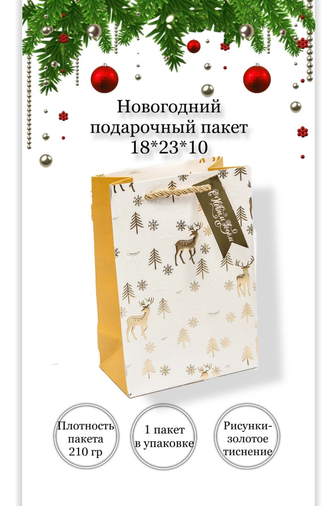 OMG Gift Пакет подарочный 18*23*10 см, 1 шт. #1