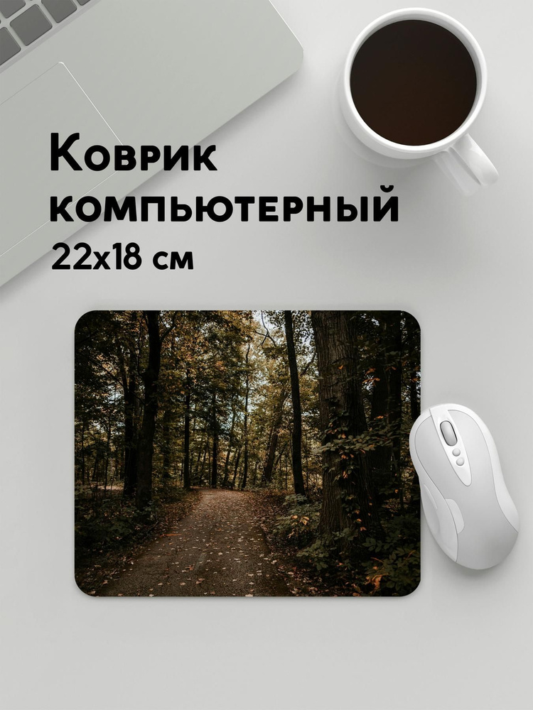 PANiN Коврик для мыши MousePad22x18WC_WC149014, черный матовый, черный  #1